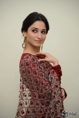 Tamannaah at Speedunnodu Movie Audio Launch